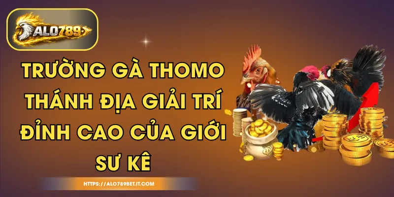 Trường Gà Thomo – Thánh Địa Giải Trí Đỉnh Cao Của Giới Sư Kê